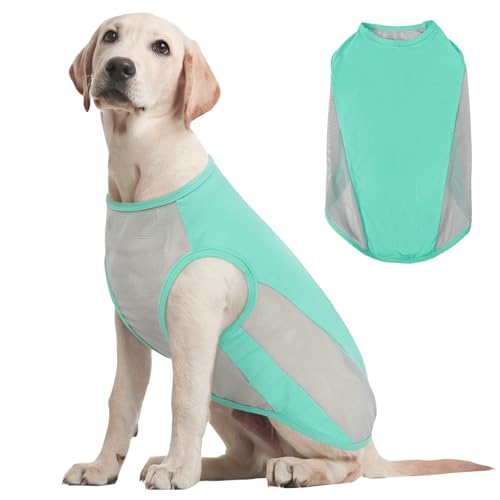 Kuoser Kühlweste Hund, L Hundekühlweste Sommer, UV-Schutz Shirt, Atmungsaktive Kühljacke, Leichte Sonnenschutz-Bekleidung, Insektenschutz für Outdoor, Must-Have für heiße Tage, Blau