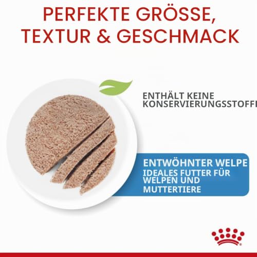 Royal Canin Hundefutter Starter mousse, 195g, 12-er Pack – Ansicht 6
