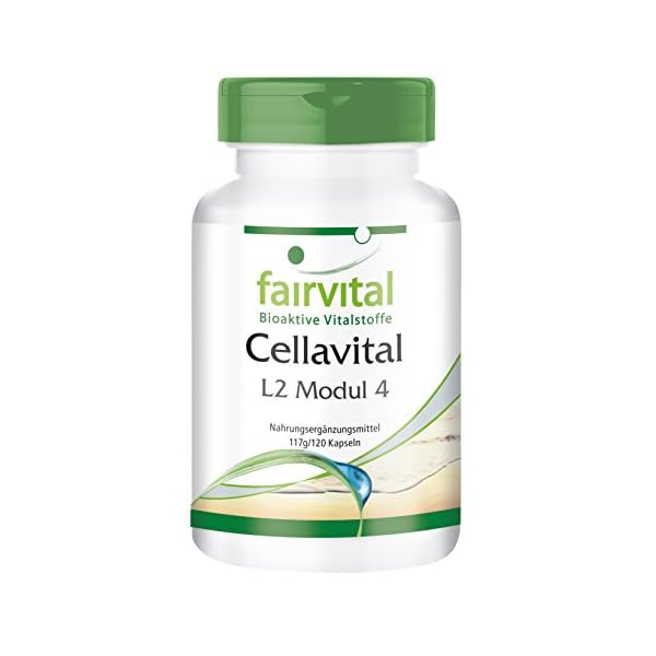 Cellavital – HOOG GEDOSEERD – 120 capsules – antioxidanten complex met acetyl-L-carnitine, taurine, Q10 en meer