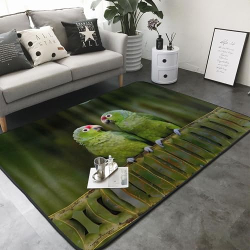 Alfombra de felpa de loros 80x58 pulgadas de pelo sintético suave 3