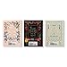 The Jane Austen Gift Set: A Puffin in Bloom 3-Book Collection: Pride and Prejudice, Emma, and Sense and Sensibility