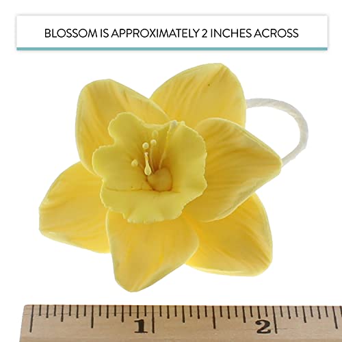 Global Sugar Art Daffodil Sugar Cake Flowers, Yellow, 6 Count By Chef Alan Tetreault #TOP4