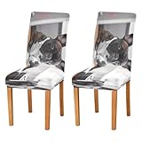 RPLIFE Lustige Stuhlhussen für Esstisch, Motiv: Französische Bulldogge, dekorative Stuhlhussen, Esszimmerstuhlschoner