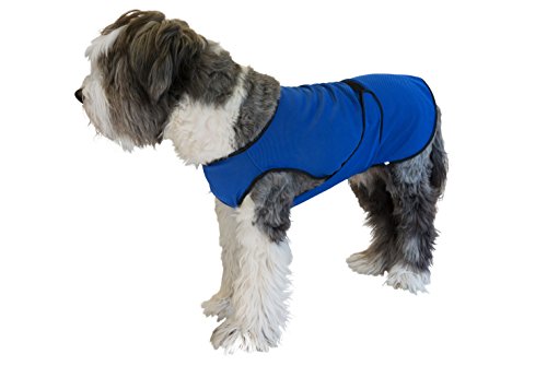 Manteau rafraîchissant pour chien évite les coups de chaleur L