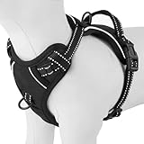 Easy Walk No Pull Dog Harness, Reflective, Sizes for Puppies and Large Dogs (Black, Medium)