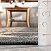 nuLOOM Ranya Tribal Indoor/Outdoor Area Rug, 4x6, Dark Grey