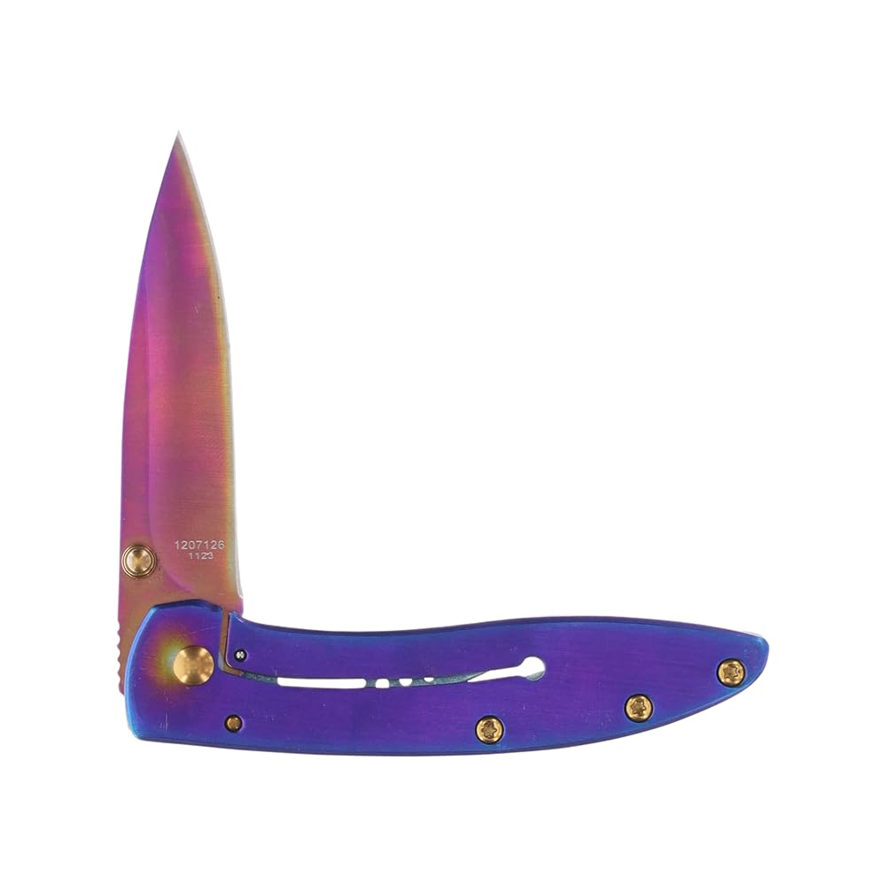 Smith & Wesson Frame Lock Drop Point Folding Pocked Knife