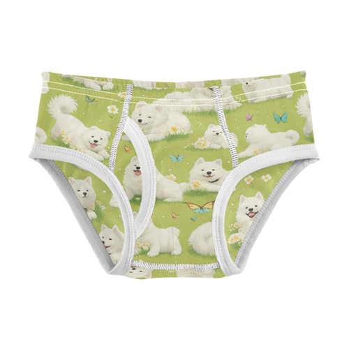 Wusikd Cute Samoyed Boys' Underwear Cotton Puppies Boys Briefs Soft Toddler Underwear 2T