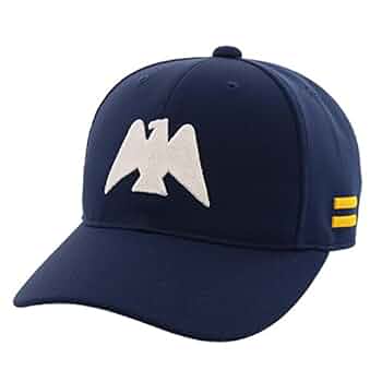 南海ホークス 復刻 80thanniversary プロコレ 野球キャップ Amazon.co.jp: 込 ソフトバンクホークス 80周年記念 キャップ
