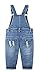 KIDSCOOL SPACE Baby & Little Girls/Boys Big Bib Pocket Stone Washed Ripped Denim Overalls,Blue,12-18 Months