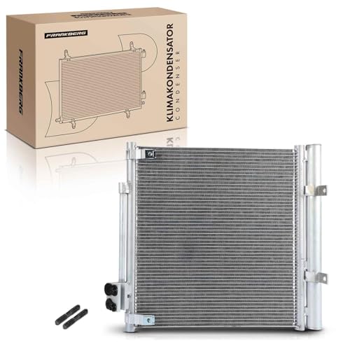 Frankberg Radiatore climatizzatore Condensatore climatizzatore Motore Elettrico Compatibile con Model S 5YJS Replace# 6007613