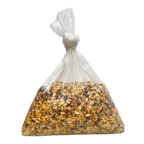 Maiz Tostado para Santeria Ritual (10 lb) Bulk Toasted Corn
