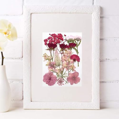 Arcjunys Gepresste Blumen Getrocknete Blumen Trockenblumen zum Basteln Getrocknete Blüten Dried Pressed Flowers für Kunst DIY Harz Scrapbooking Handwerk Karten Machen 16 Stück