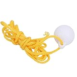 SUNGOOYUE Pelota de Práctica de Swing de, Ayudas de Entrenamiento de ABS Reutilizables con Cuerda Duradera para Principiantes