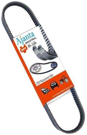 AJANTA BELT