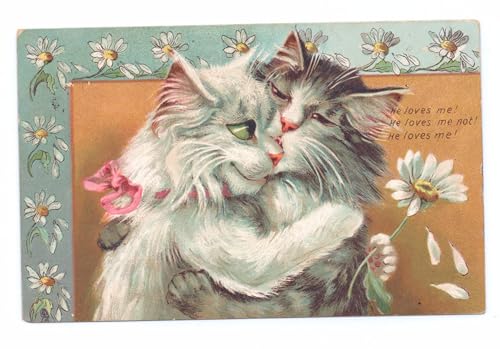 Cuadro en lienzo decorativo Louis Wain pintura de gatos famosos impresión artística 60x90cm