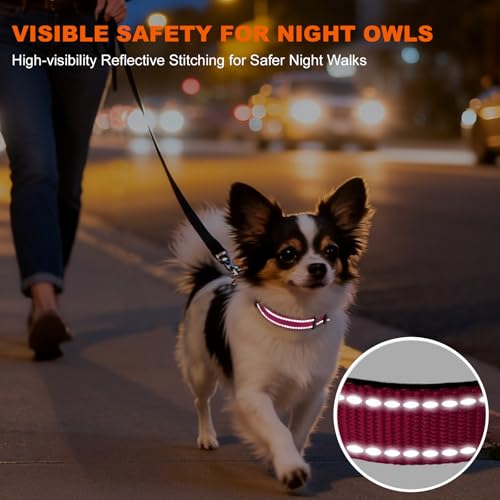 Image of Taglory Reflective Dog Collar for Puppies, Gentle and Safe for Night Walks