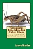 The Beginner's Guide to Breeding Crickets At Home: How to Breeding Healthy Nutritious Feeder...