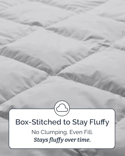 Image of Twin Size, Dark Grey & French Grey Alternative Down Comforter - Warm, Lightweight & Breathable Hotel Quality Bedding for Men, Women, Kids & Teens - All Season Cooling Microfiber Duvet Insert Comforter