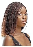 JBG SERVICES Authentic African Braided Wigs - Micro Twist Wig for African American Women - Lace...