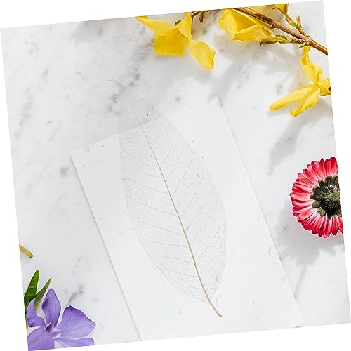 NOLITOY 200 Unidades Espécime De Folha De Magnólia Decoração De Casamento Marcador De Flor Prensado
