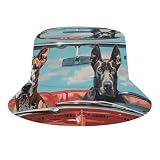 CSIVKEJ Chapeau bob amusant avec motif raton laveur, chapeau de soleil, chapeau de pêcheur pliable, Chien amusant Chat-7, Taille unique
