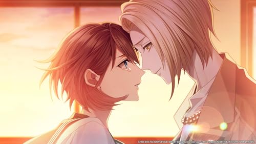 Jeu 9 R.I.P. Aroma Edition Nintendo Switch version physique premium - 3