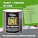 THE ONE All-In-One Paint & Primer - Grey Matte, 8.5 Fl Oz/250ml Sample | 1 Coat Formula | Easy Indoor & Outdoor Decorating for Home & Garden Walls, Floors & Furniture | Water-Based & Low VOC