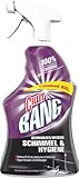Cillit Bang Kraftreiniger Schwarzer/Weisser Schimmel & Hygiene, Pumpe - 6X 1000 ml