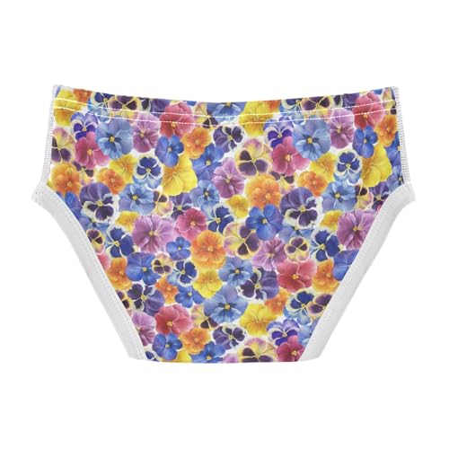 Boys' Exclusive Briefs Toddler Underwear 95% Combed Cotton Boxerbriefs 2T Floral Pattern 662