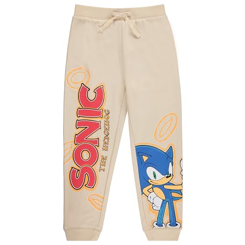 Image of Sonic The Hedgehog Boys Graphic Hoodie and Jogger Pants 2-Piece Outfit Set- Sizes 4-20