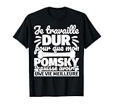 Pomsky chien drôle T-Shirt