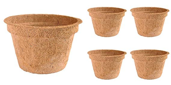 See full amazon price history chart for 4K Agro Coir pots 4 inches Made Out of Coconut Fibre, Easy Water Absorbing Capacity and bio degradable Eco-Friendly Planters for Plants and Seedlings Pack of 5 4K Agro Coir pots 4 inches Made Out of Coconut Fibre, Easy Water Absorbing Capacity and bio degradable Eco-Friendly Planters for Plants and Seedlings Pack of 5 (B0BHT8NSW8) Amazon Price History, Amazon Price Tracker