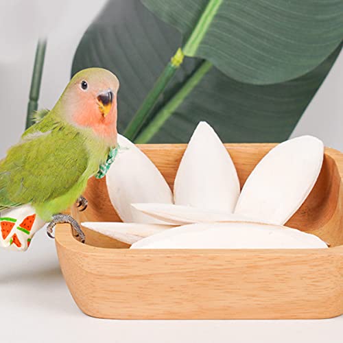 4-PCS-Cuttlefish-Bone12-13cm-Birds-Parrots-Chewing-Toys-with-2-Pcs-Metal-Holder-Natural-Cuttlefish-Bone-Bird-Pet-Molar-Toy-for-Parrots-Cage-Birds-Reptiles-Tortoises-Snails