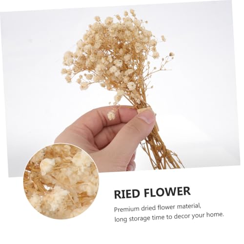 Ramo mini de flores secas Babys Breath 6 piezas miniatura 4