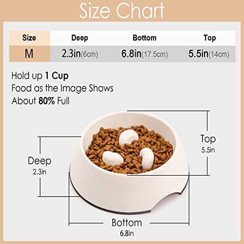SUPERDESIGN Ciotola per Cani e Gatti Ciotola per