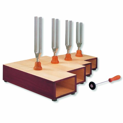 Image of 3B Scientific U10125 4 Piece C-Major Chord Tuning Fork on Resonance Box Set