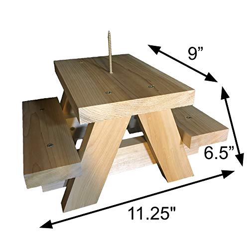 image for Nutraffect Squirrel Picnic Table Feeder - Large Squirrel Feeders for O