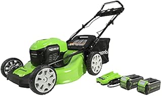 Greenworks 40V 21