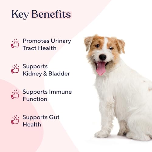 Pawfy Dog UTI Supplement | Cranberry & D-Mannose Help Support Dog Urinary Tract Health & Bladder Support | Ideal for Senior Dogs | Urinary Tract Infection Treatment | Dog Vitamins and Supplements