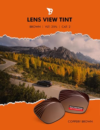 Image of PRO+ Polycarbonate Replacement Lenses Compatible with Ray-Ban Meta Wayfarer RW4006 & Gen 2 RW4012 50mm Sunglasses