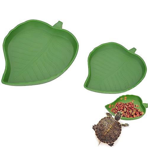 TSUWNO Ciotola Piatta per Cibo e Acqua per rettili...