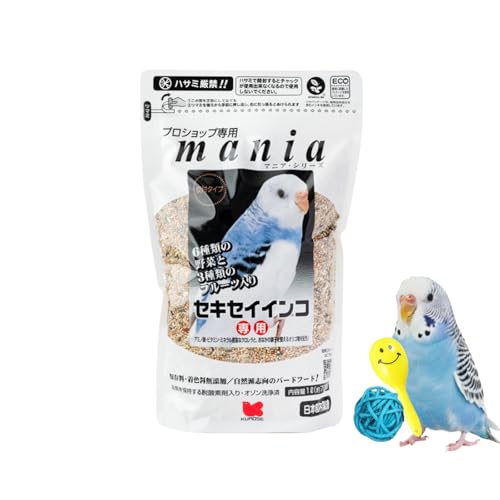 黒瀬 mania1Lトイ付