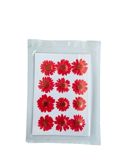 Nice Craft Real Pressed Dry Flowers, Multicolour Daisy Design, for Crafting, Scrapbooking, Resin Art Jwellery Making, DIY Projects | Pack of 12 Single Colour Flowers (RED)-image-31