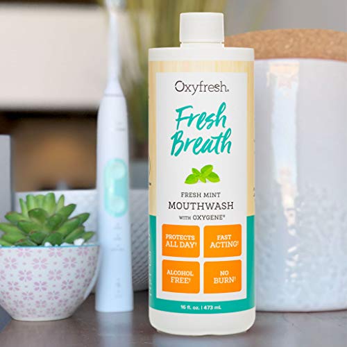 Oxyfresh Fresh Breath Fresh Mint Mouthwash – Dentist Recommended for Long-Lasting Fresh Breath & Healthy Gums | Alcohol & Fluoride Free (12- 16 oz Bottles)