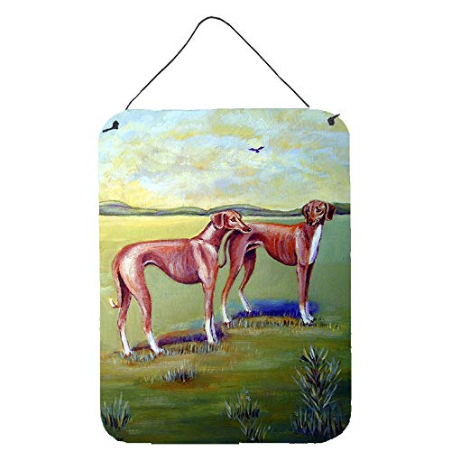 Caroline's Treasures 7001DS1216 Azawakh Hound Wall or Door Hanging Prints Aluminum Metal Sign Kitchen Wall Bar Bathroom Plaque Home Decor Front Door Plaque, 12x16, Multicolor