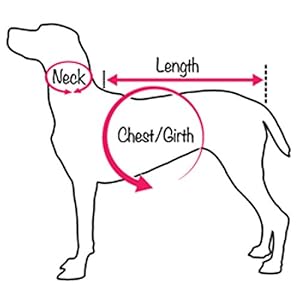 MLB SAN Francisco Giants Dog T-Shirt, Medium. - Licensed Shirt for Pets Team Colored with Team Logos. - Premium Stretchable Materials for The Comfort of Your Dog & cat. MLB SAN Francisco Giants Dog T Shirt Medium Licensed Shirt for Pets Team Colored with Team Logos Premium Stretchable Materials for The Comfort of Your Dog cat