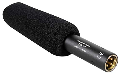 Audio-Technica (2) At875R Shotgun Condenser Microphones Ideal For Video Production And Broadcast Audio Acquisition #TOP4