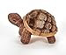 The Petting Zoo Tortoise Stuffed Animal Plushie, Gifts for Kids, Wild Onez Farm Animals, Tortoise Plush Toy 9 Inches