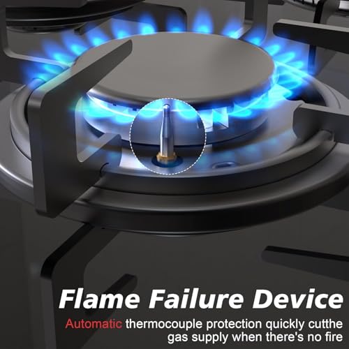 Noxton Gas Cooktop 2 Burner, 12 inch LPG/NG Dual Fuel Builtin Gas